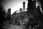 10. Whitefields Mansion portfolio