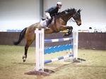 LINK_TO - Northcote Sun25thJan'15 SeniorBS_Jumping portfolio