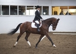 LINKS TO - Equestran Events October '11 portfolio