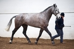 LINK TO - Barton_EC Sun_29thJan'12 TrailblazerQuals portfolio