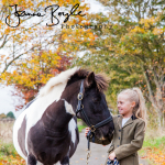 Equine Gallery Portfolio portfolio