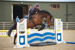 LINK_TO - NorthcoteStud Tues3rdApril'12 TrainingAfternoon portfolio