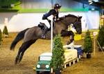 LINK TO - PonyClub IndoorCrossCountry @Osbaldeston 2ndFeb'13 portfolio