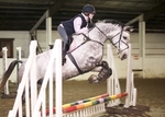 LINK TO - Barton_EC Wed_28th_Dec'11 WedNightShowJumping portfolio