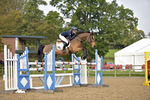 Bicton Arena July BS Show (14th - 16th July 2017)