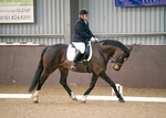 LINK_TO - NorthcoteStud Unaff.Dressage Sunday16thFeb'14 portfolio