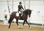 LINK TO - CrowWoodEC Sun25thNov'12 UnaffiliatedDressage portfolio