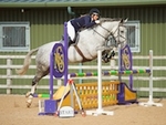 LINK_TO Northcote 16thSept'17 Unaff.Jumping portfolio