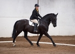 LINK_TO - BartonEC Sat12thApril'14 Dressage portfolio