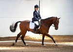 LINK TO - BartonEC Sat6thJuly'13 Unaff.Dressage portfolio