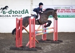 LINK TO - Barton EC, 12th_Feb_'11, ShowJumpingScopeQualifiers portfolio
