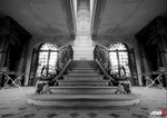 93. Chateau des Singes portfolio