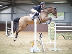 LINK_To - Northcote Sun27thMarch'16 SeniorBSJumping portfolio