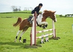 LINK_TO LancasterPonyClub Mon.4thMay'15 MayDayShow portfolio