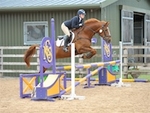 LINK_TO Northcote Unaff.Jumping Sun19thMay'19 portfolio