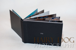 Little Black Albums portfolio