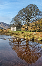 IMAGE GALLERIES portfolio