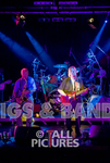 PETE FRAMPTON & FRIENDS portfolio