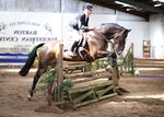 LINK_TO - Barton Sun4thSept'16 DerbyDayJumping portfolio