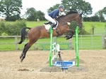 LINK_TO HarrogateRC 18thAug'19 Snr.BSJumping portfolio
