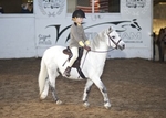 LINK TO - Barton_EC Sun_6th_Nov_'11 WinterRidingClub InHandChampionship and_RiddenClasses portfolio