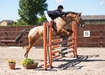 LINK_TO - ArcEquestrian SummerFundRaiser Sat5thJuly'14 portfolio