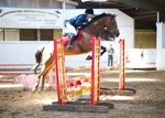 LINK TO - BartonEC Sat15thJune'13 SummerRC ShowJumping portfolio