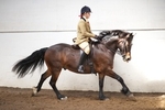 LINK TO - BartonEC SummerRC Sunday_13thMay'12 portfolio