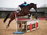 LINK_TO Northcote Sun6thJan'19 ArenaXC portfolio