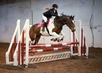 LINK_TO - BartonEC Wed28thMay'14 ShowJumping portfolio