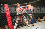 CAGE FIGHTING portfolio