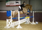 LINK_TO - NorthcoteStud Sun1stDec'13 Unaff.ShowJumping portfolio