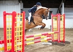 LINK_TO - BartonEC_Sat18thAug'12 SummerRC_ShowJumping portfolio