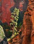 Utah & Arizona Canyon Country portfolio