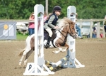 LINK TO - South View EC, Sun 22nd July '12, Unaffiliated Show Jumping portfolio