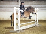 LINK_TO BartonEC Wed7thOct'15 Unaff.ShowJumping portfolio
