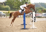 LINK_TO - Northcote13thSept'14 SummerJumpingFinals portfolio