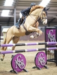Equestrian Events 2015