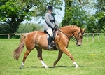 LINK TO - BartonEC Sat26thJune'12 Trailblazers_Showing portfolio