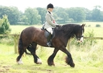 LINKS TO - Equestrian Events Aug'12 portfolio