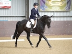 LINK_TO Northcote Sat23rdApril'16 Unaff.Dressage portfolio