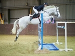 LINK_TO Northcote 21stJan'18 SeniorBSJumping portfolio
