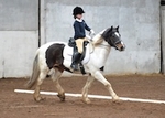 LINK_TO BartonEC Dressage Sunday7thApril'19 portfolio