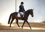 LINK TO - BartonEC Sat1stJune'13 SummerRC Dressage portfolio