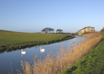 Canal