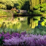 Devon Gardens portfolio