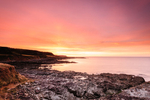 Devon portfolio