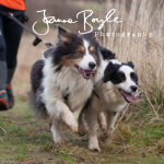 CSS Muiravonside 2020 portfolio