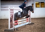 LINK_TO - BartonEC Sun24thNov'13 Unaff.ShowJumping portfolio