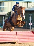 Equestrian Events 2018